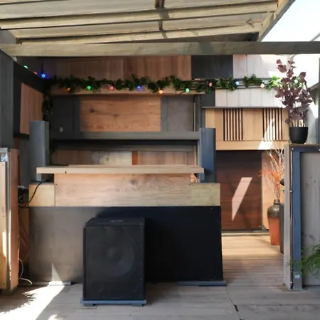 The Roof Olivia Danzica