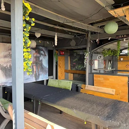 The Roof Olivia Kemping